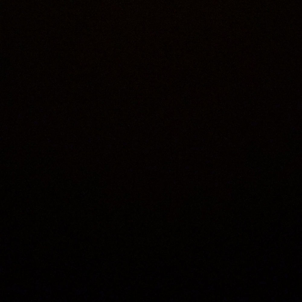 Meet your Posher, Carmen